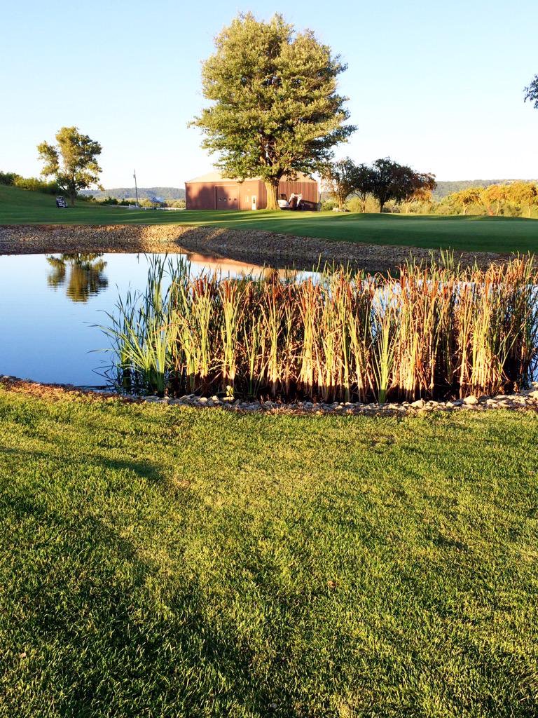 Pic6